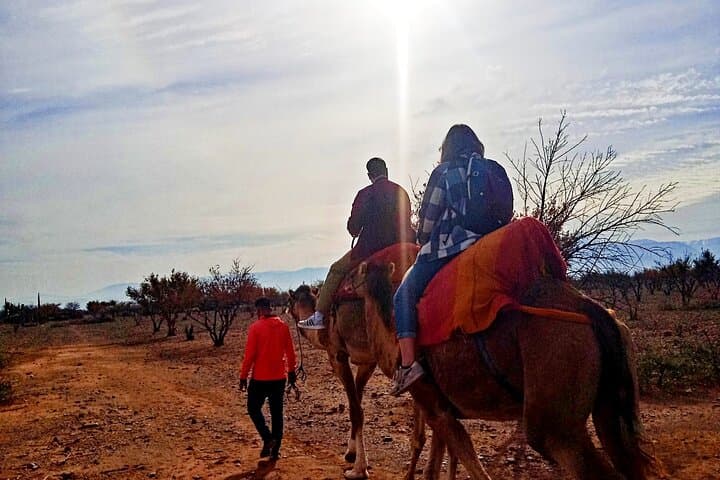High Atlas One-Day Trek from Marrakech: Imlil, Three Valleys & Camel Ride