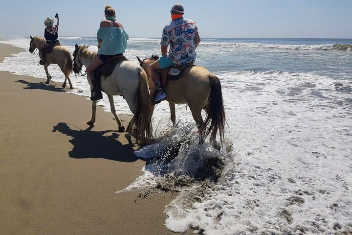 Lagoon Boat Ride, Beach Horseback and Crocodile Farm Day Trip from Acapulco