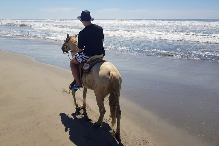 Lagoon Boat Ride, Beach Horseback and Crocodile Farm Day Trip from Acapulco photo 4
