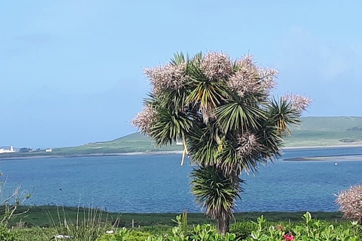 Ring of Kerry Private Tour: Wild Atlantic Way Day Trip from Killarney