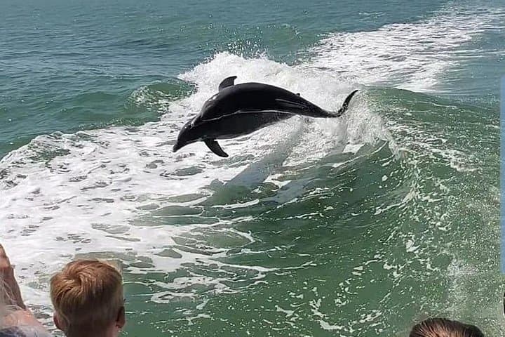 Speed, Salt, and Surf