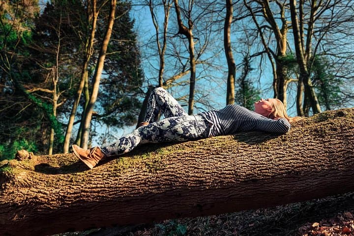 Forest Bathing and Outdoor Yoga in Stanmer Park, Brighton — Half-Day Wellness Walk