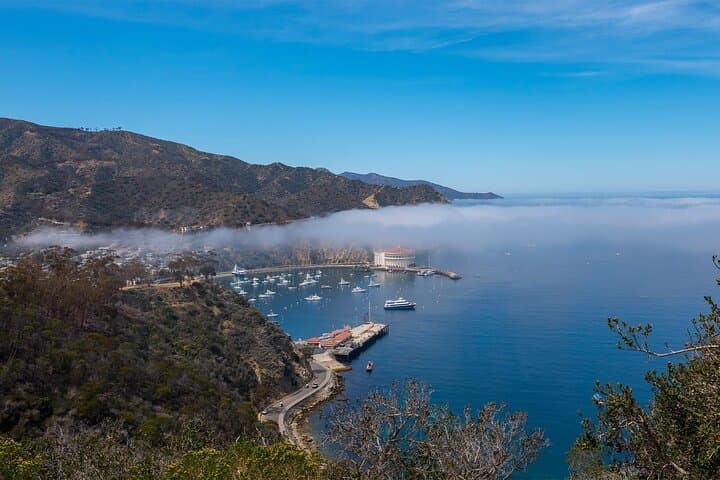 Inside Catalina: 2-Hour Eco Safari to Airport-in-the-Sky