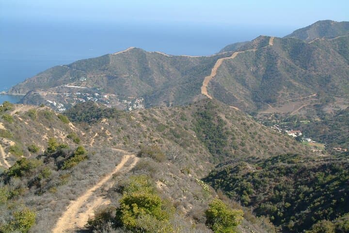 Inside Catalina: 2-Hour Eco Safari to Airport-in-the-Sky photo 5