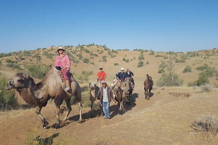 Nurata Mountains & Kyzyl‑Kum Desert: 3-Day Hike, Yurt Camp and Camel Trek photo 2