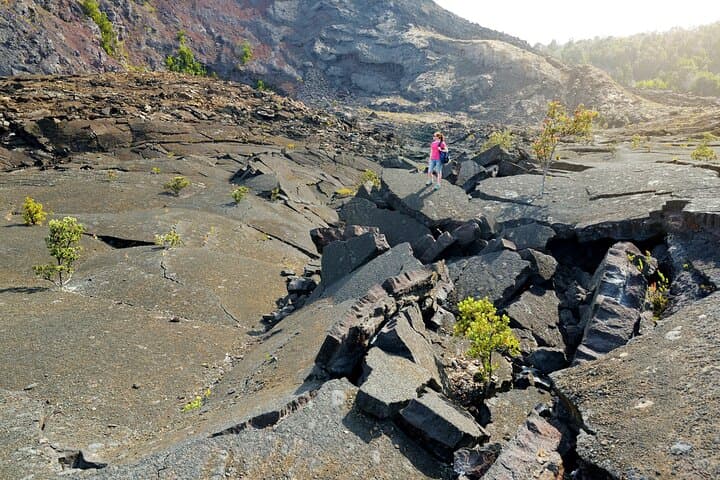 Exploring Volcanoes National Park: A Guided Small-Group Hike Through Kilauea’s Dynamic Terrain photo 4