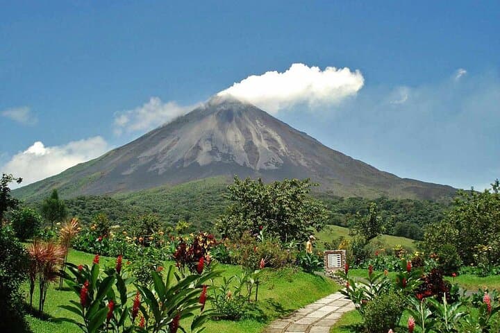 Arenal Volcano Hike and Canopy Zipline Adventure from Guanacaste photo 5