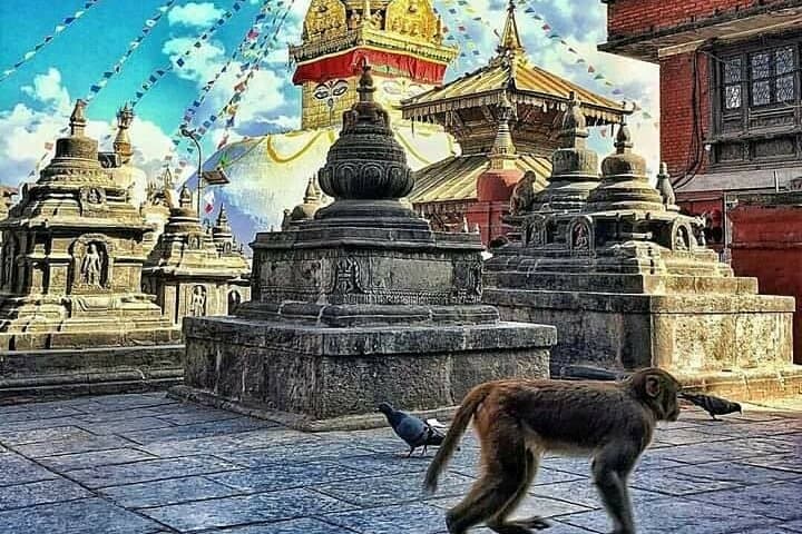 Kathmandu City Day Tour — Visit 4 UNESCO World Heritage Sites in One Day