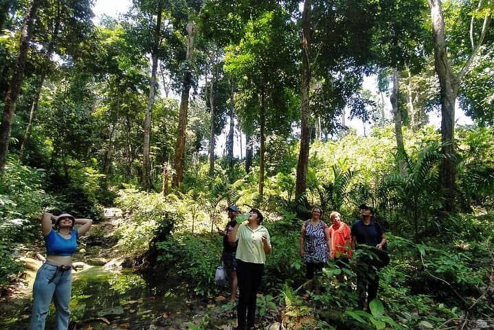 Ancient Lava Stream Trek on Havelock Island: Coastal Forest & Areca Plantation Hike photo 3