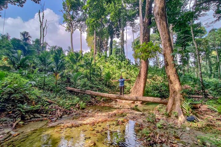 Ancient Lava Stream Trek on Havelock Island: Coastal Forest & Areca Plantation Hike photo 4