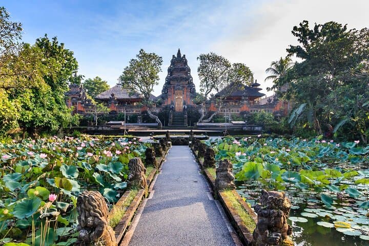 Custom Full-Day Bali Minibus Tour: Ubud Waterfalls, Temples & Rice Terraces photo 3