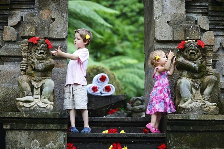 Custom Full-Day Bali Minibus Tour: Ubud Waterfalls, Temples & Rice Terraces photo 5