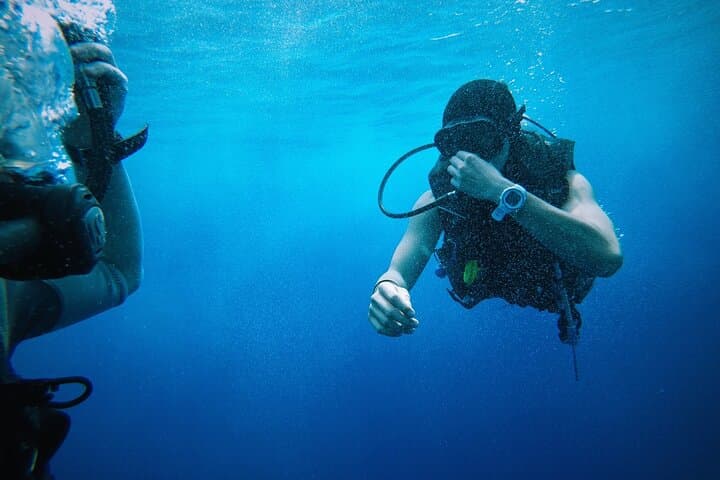 Sharks Bay Scuba Diving at El Fanara — Red Sea Day Dive from Sharm El Sheikh photo 6