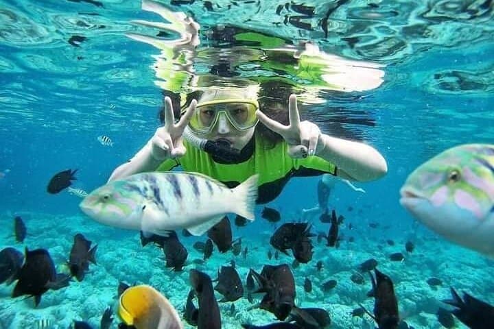 Blue Lagoon & Tanjung Jepun Snorkeling Day Trip — Padangbai with Kanto Lampo Waterfall photo 5