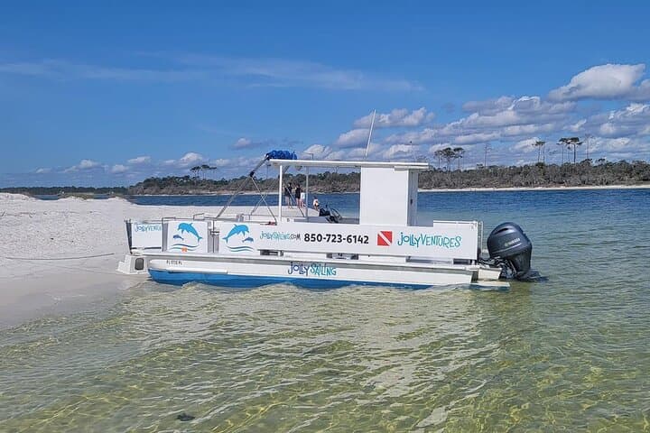 Private Pensacola Dolphin Cruise with Remote Beach Stop — 3-Hour Powerboat Excursion