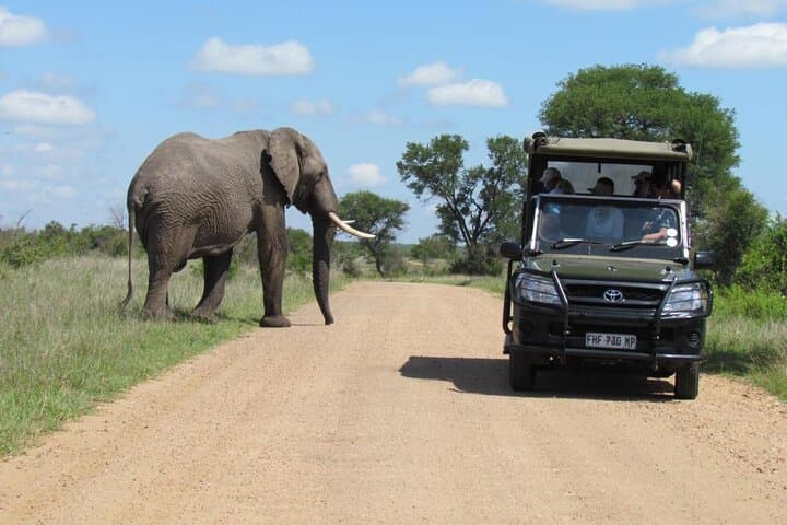 3-Day All-Inclusive Kruger Safari from Nelspruit — Big Five Lodge Experience photo 3