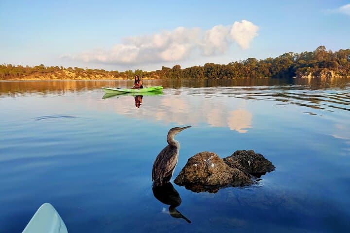 Sunset Kayak at Bidderosa Oasis — Private Evening Paddle in Sardinia photo 3