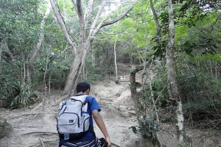 Pedra do Telégrafo Hike and Grumari Beach: Private Full-Day Tour from Rio photo 3