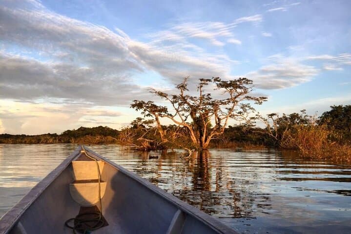 Cuyabeno Jungle 3-Day All-Inclusive: Canoes, Pink Dolphins & Night Walks