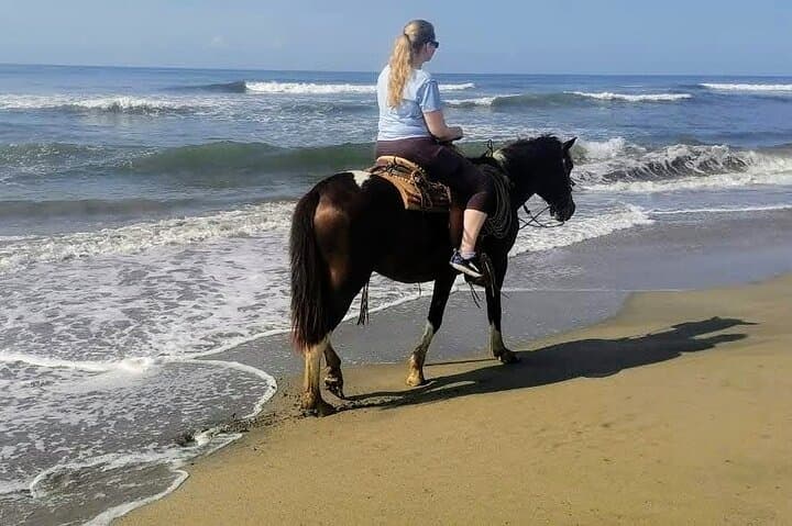 Gentle Beach Horseback Ride to Afro-Mex Village — Acapulco Coastal Tour photo 4