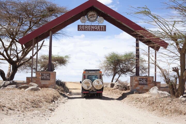 4-Day Tanzania Budget Safari: Tarangire, Serengeti & Ngorongoro Camping photo 4