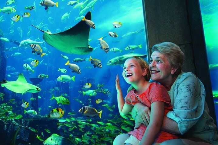 Atlantis Aquaventure & The Lost Chambers: Dubai’s Aquatic Adventure Day photo 5