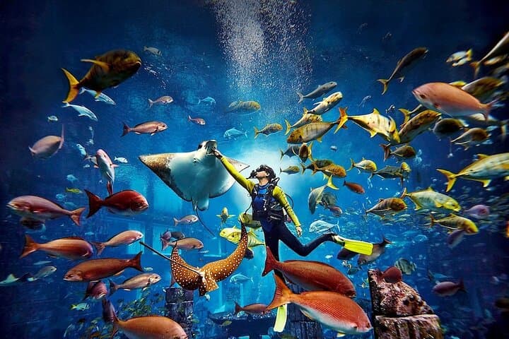 Atlantis Aquaventure & The Lost Chambers: Dubai’s Aquatic Adventure Day photo 3