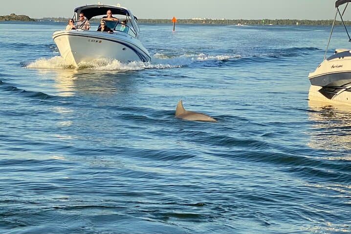 Private Dolphin Sunset Boat Tour in San Carlos Bay — Fort Myers Evening Cruise photo 3