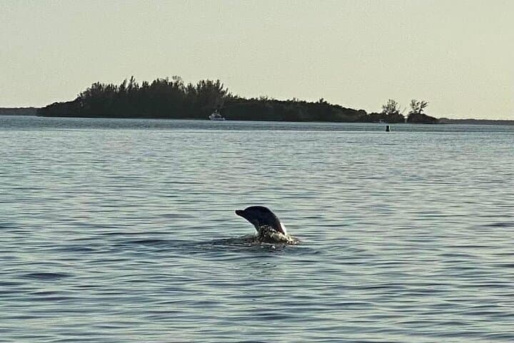 Private Dolphin Sunset Boat Tour in San Carlos Bay — Fort Myers Evening Cruise photo 5