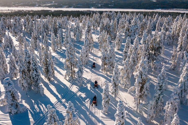 Rovaniemi Snowmobile Safari — Adults-Only Arctic Ride Across Frozen Forests photo 6