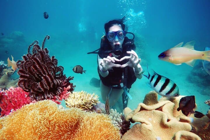 Private Snorkeling Tour in Nha Trang Bay — Full-Day with Lunch & Gear photo 4