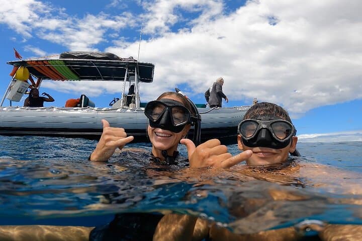 Maui Eco-Raft Turtle Snorkel & Whale Watch — Lahaina Small-Group Tour photo 4
