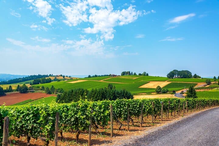 Willamette Valley Wine History Tour — Pinot Noir, AVAs & Vineyard Stories