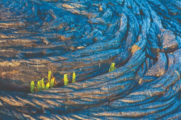 Exploring Hawaii Volcanoes National Park: A Hilo Sightseeing Adventure photo 4