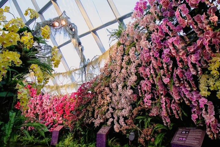 Gardens by the Bay: Flower Dome & Cloud Forest Conservatories Guide photo 4