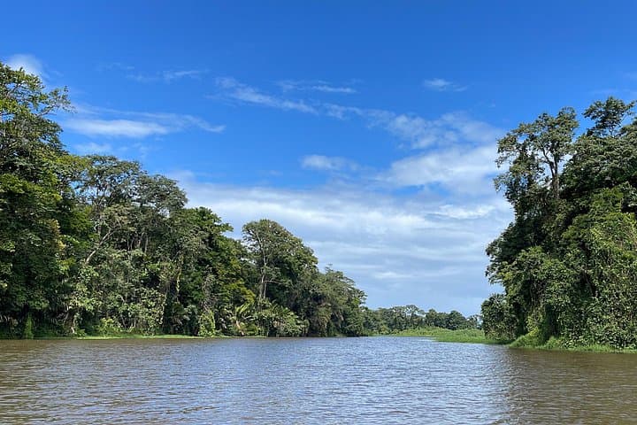 Tortuguero Canal Canoe Tour — Guided Wildlife Paddle in Costa Rica photo 1