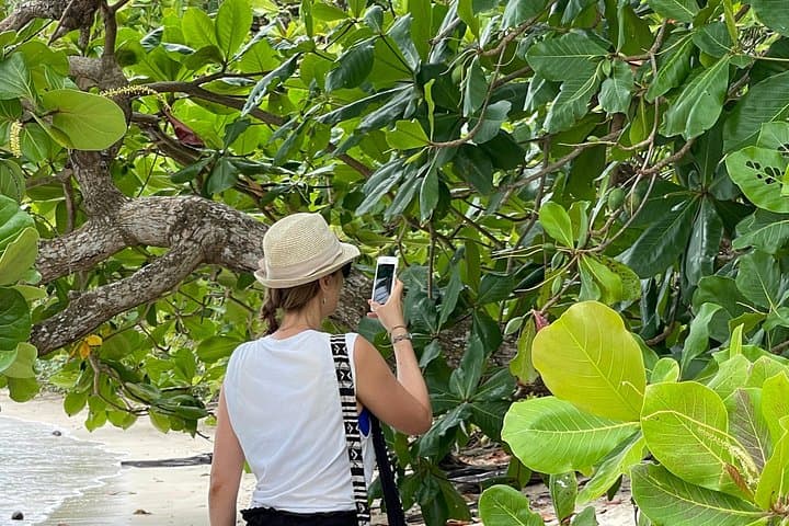 Tortuguero Canal Canoe Tour — Guided Wildlife Paddle in Costa Rica photo 3