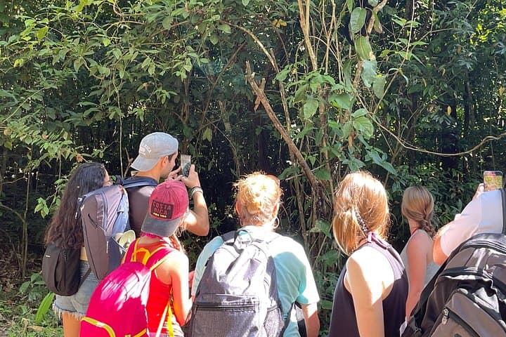 Tortuguero Canal Canoe Tour — Guided Wildlife Paddle in Costa Rica photo 2