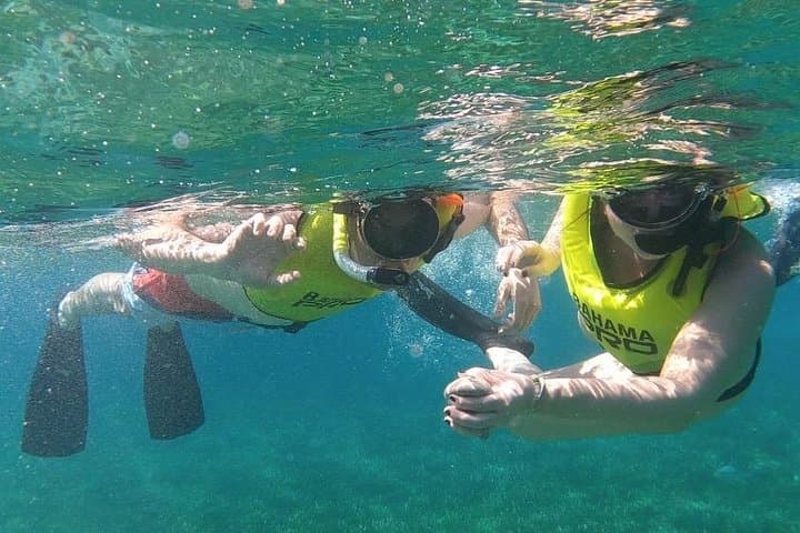 Snorkeling the Sea Garden: Small-Group Reef Tour from Nassau Harbor photo 1