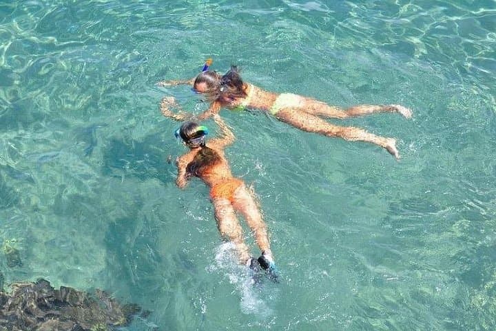 Snorkeling the Sea Garden: Small-Group Reef Tour from Nassau Harbor photo 2