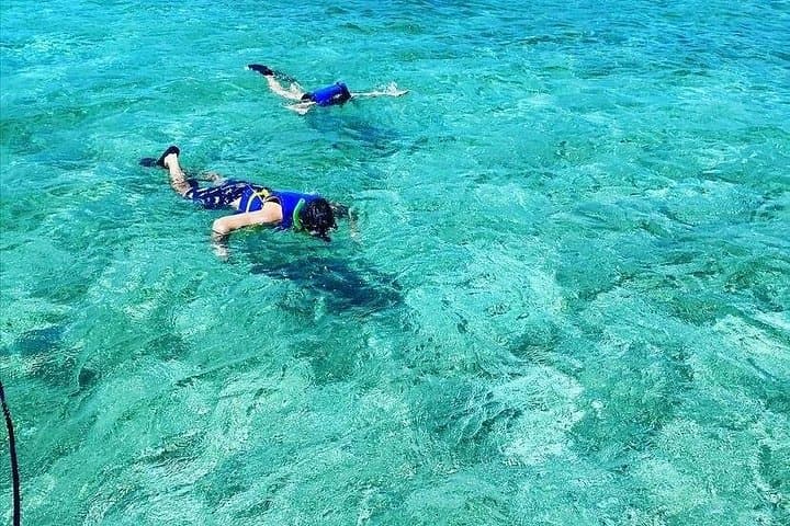 Snorkeling the Sea Garden: Small-Group Reef Tour from Nassau Harbor photo 3
