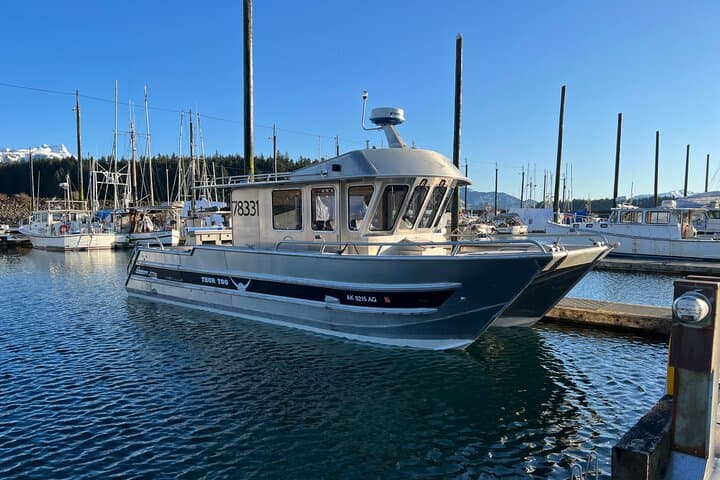 Icy Strait Whale Watching from Hoonah: Humpback and Orca Tours