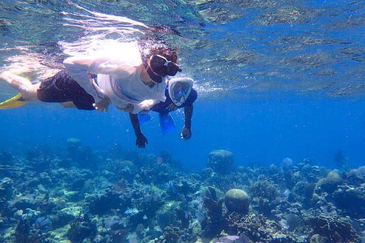 Roatan Reef Snorkel Adventure Small-Group Tours on Roatan Reefs photo 2