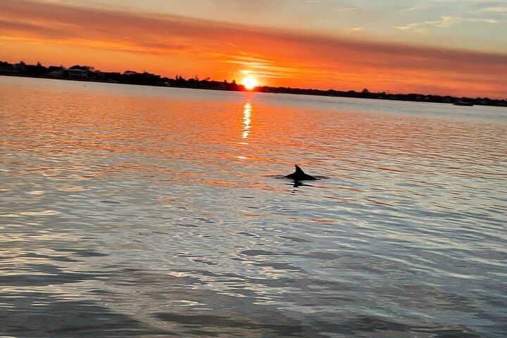 Sunset Boat Tour in St. Augustine: Evening Cruise Along Historic Waterways
