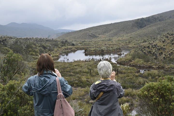 Source of the Bogotá River Day Tour: Villapinzón Páramo & Cultural Visit photo 3