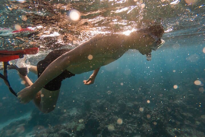 West Bay Guided Snorkel: Shore-Entry Access to Roatán’s Barrier Reef photo 4