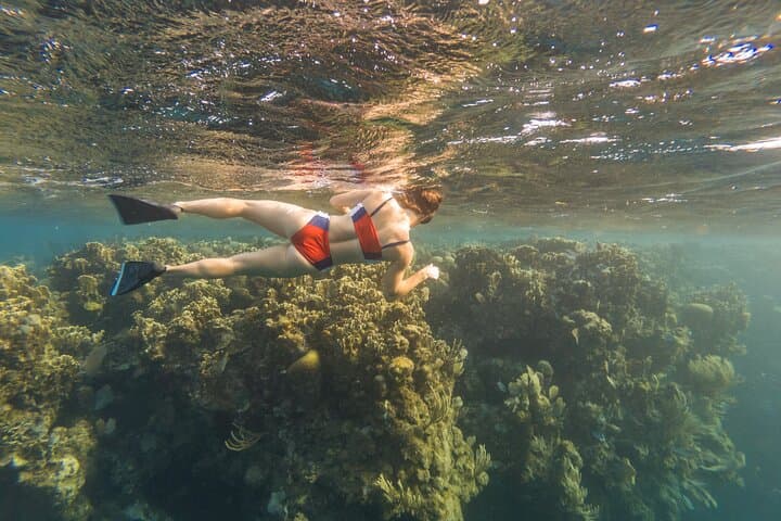 West Bay Guided Snorkel: Shore-Entry Access to Roatán’s Barrier Reef photo 2
