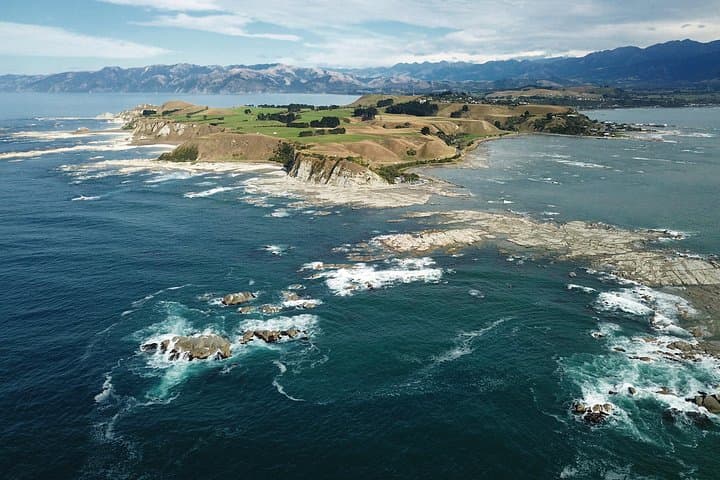 Kaikōura Day Trip from Christchurch: Coastal Wildlife, Peninsula Walks & Scenic Drive photo 4