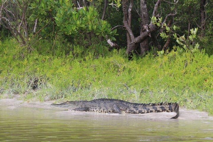 Paddling the Mangroves: Kayak Experience in Holbox Island photo 4