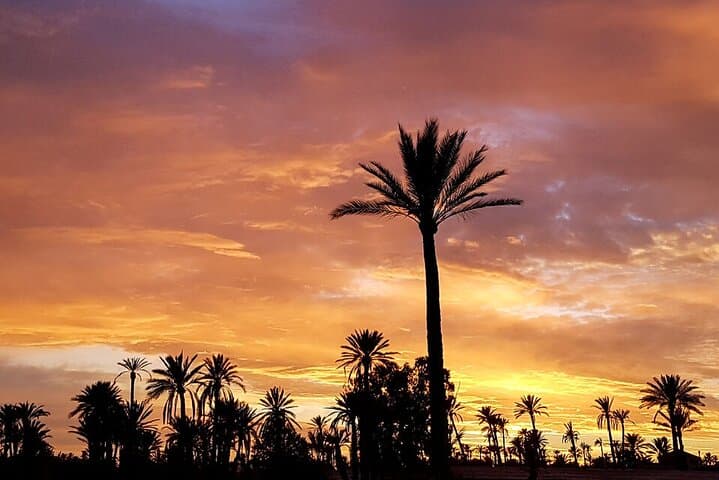 Sunset Camel Ride on the Souss River: Agadir Eucalyptus Trail photo 4